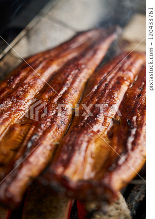 Grilled eel over charcoal (Chinese Rostrata species) 120433761