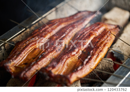 Grilled eel over charcoal (Chinese Rostrata species) 120433762