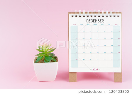 Desk calendar for December 2024 with plant pot. 120433800