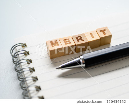 merit merit 120434132