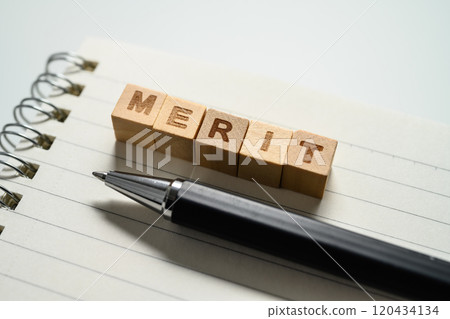 merit 120434134