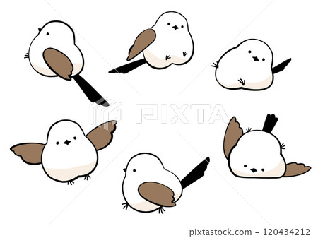 Cute long-tailed tit illustration set Cute long-tailed tit illustration set 120434212