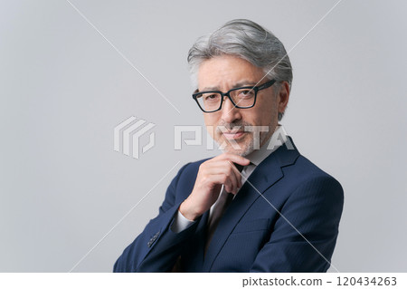 穿著西裝的白髮男子 穿著西裝的白髮男子 120434263