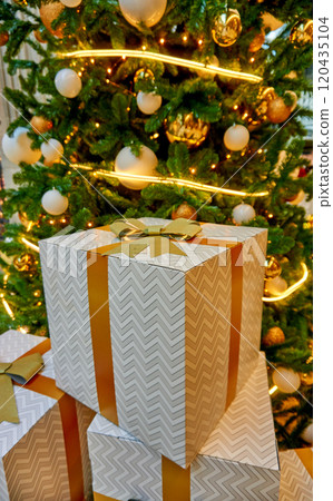 Christmas background with tree branches 120435104