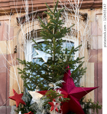Christmas background with tree branches 120435147