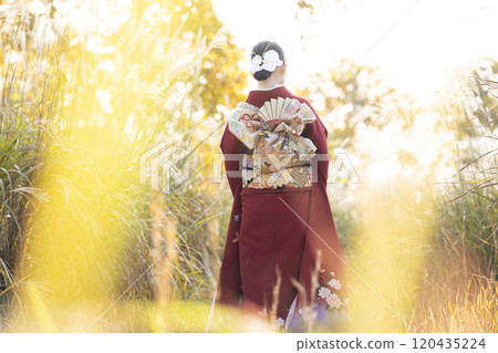 An adult woman wearing a furisode An adult woman wearing a furisode 120435224