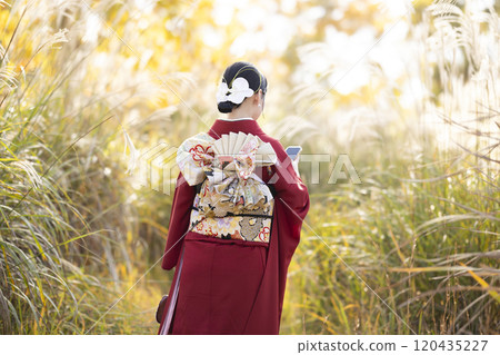 An adult woman wearing a furisode 120435227