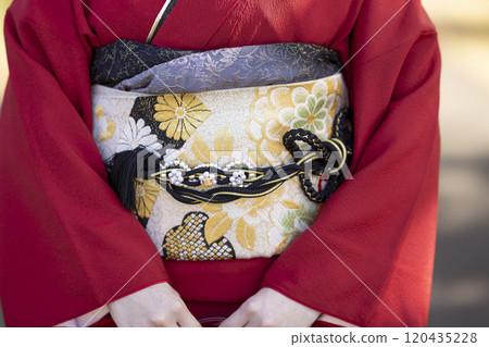An adult woman wearing a furisode 120435228