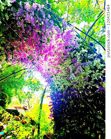 Light shining through a flower loop Light shining through a flower loop 120435464