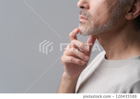 Middle-aged man with grey hair and beard 120435588