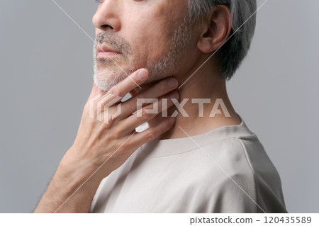 Middle-aged man with grey hair and beard Middle-aged man with grey hair and beard 120435589