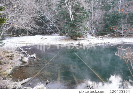 Lake Taro in early winter 120435594