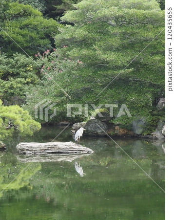 Inside the Kyoto Imperial Palace 120435656