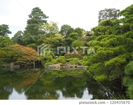 京都御所內部 京都御所內部 120435670