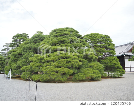 Inside the Kyoto Imperial Palace Inside the Kyoto Imperial Palace 120435706