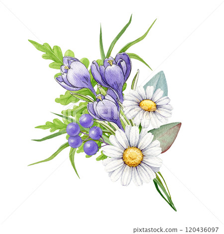 Springtime floral elegant decor from garden flowers vintage style illustration. Hand drawn crocus, daisies, fern decor element on white background. For holiday festive decor and seasonal design 120436097