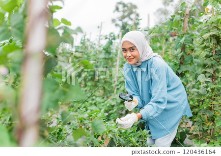 A woman in a hijab gardens in a lush environment, promoting wellness and community 120436164