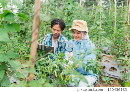 Farmers use advanced technology in sustainable agriculture to improve outcomes 120436183