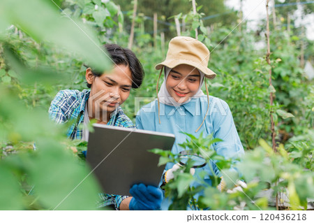 Young Farmers Engaging in Data Analysis While Working in a Lush Vegetable Garden Young Farmers Engaging in Data Analysis While Working in a Lush Vegetable Garden 120436218
