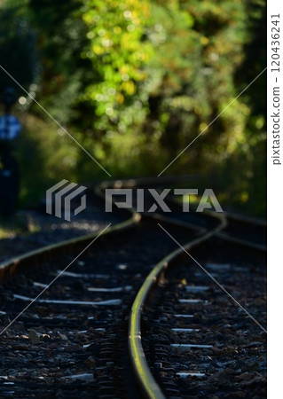 Inside Sawaniri Station on the Watarase Valley Railway 120436241