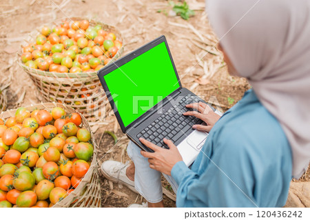 A woman works on her laptop amid fresh farm produce, blending agriculture and technology 120436242