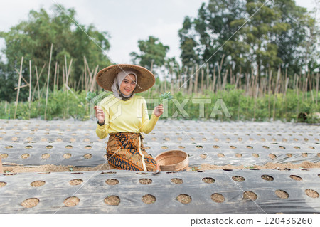 A woman plants seeds in a thriving agricultural field, embodying farming and cultivation A woman plants seeds in a thriving agricultural field, embodying farming and cultivation 120436260