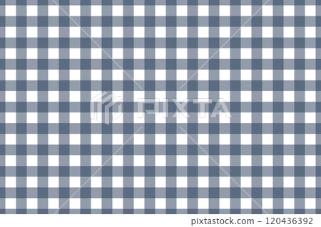 Gingham Check - Navy Blue 2 Gingham Check - Navy Blue 2 120436392
