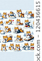 雪和Shiba Inu 120436615