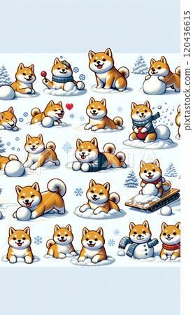 雪和Shiba Inu 120436615