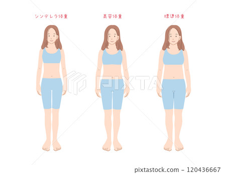 Illustration material comparing women's body types by weight 120436667