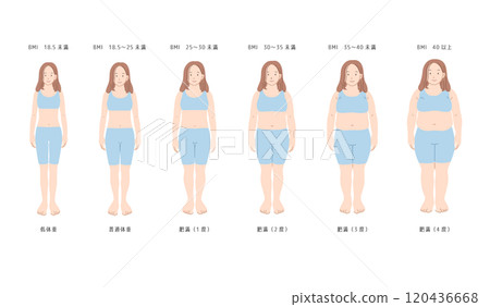 根據身體質量指數 (BMI) 列出的女性體型列表-插圖素材 [120436668] - PIXTA圖庫