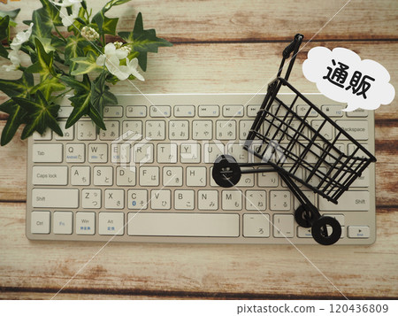 Shopping cart with mail order sign stylish Shopping cart with mail order sign stylish 120436809