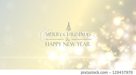 Merry Christmas and Happy New Year 120437970