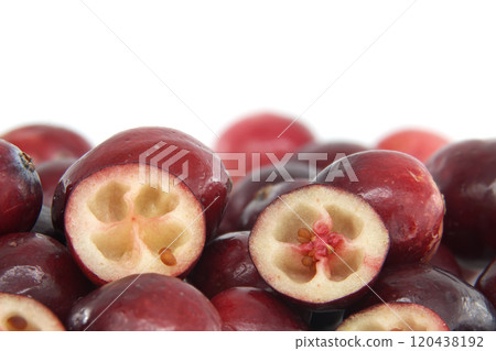 Fresh Cranberries With Halved View Displaying Seeds and Flesh Fresh Cranberries With Halved View Displaying Seeds and Flesh 120438192
