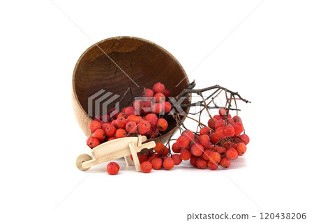 Rustic wooden bowl with vibrant red rowan berries and miniature wooden wheelbarrow on white Rustic wooden bowl with vibrant red rowan berries and miniature wooden wheelbarrow on white 120438206