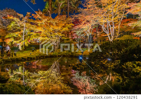 圓通院秋葉彩燈 120438291