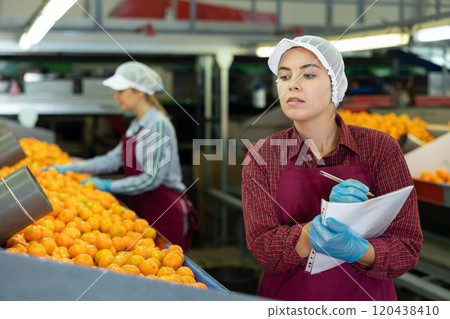 Young female supervisor inspecting workflow of citrus sorting workshop Young female supervisor inspecting workflow of citrus sorting workshop 120438410
