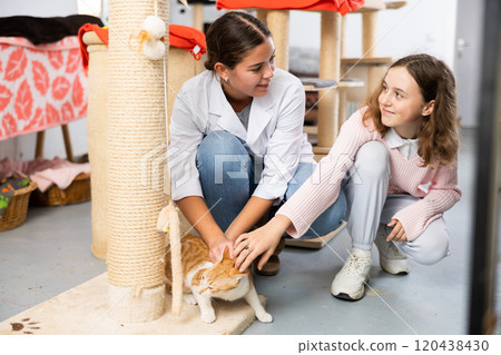 Preteen girl petting red and white cat with female worker in shelter 120438430