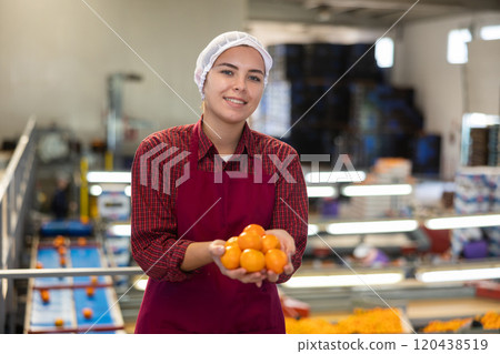Young positive cheerful female worker in colorful uniform holds fresh ripe tangerines in her hands near the conveyor line. Young positive cheerful female worker in colorful uniform holds fresh ripe tangerines in her hands near the conveyor line. 120438519