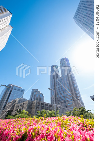 新宿摩天大樓街景 120439092