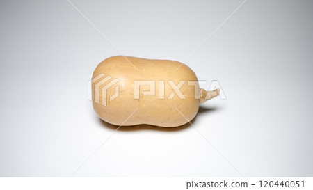 新鮮奶油 花生 南瓜 120440051