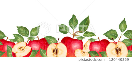 Seamless border with red apples, slices and green leaves. Watercolor and marker illustration. Hand drawn isolated horizontal banner. Garden fruits sketch for juice packaging decoration,production. 120440269