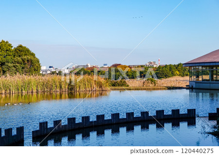 Yatsu Tidal Flats Park on a clear autumn day (Narashino City, Chiba Prefecture) Yatsu Tidal Flats Park on a clear autumn day (Narashino City, Chiba Prefecture) 120440275