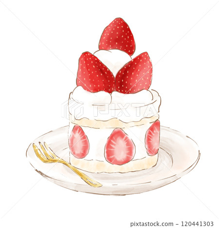 Shortcake  120441303