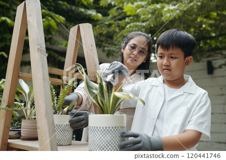 Mother And Son Potting Plants Outdoors in Garden Mother And Son Potting Plants Outdoors in Garden 120441746