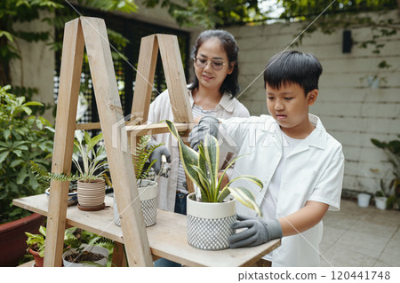 Engaging in Gardening and Planting Together Outdoors 120441748