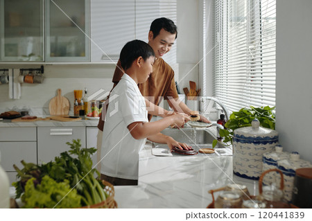 Father and Son Cooking Together in Modern Kitchen 120441839