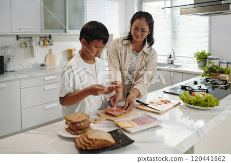 Preparing Sandwiches for Lunch in Modern Kitchen Preparing Sandwiches for Lunch in Modern Kitchen 120441862