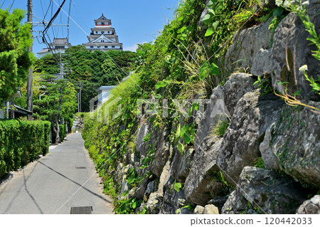 View of Karatsu Castle's castle tower and stone walls against the blue sky 120442033