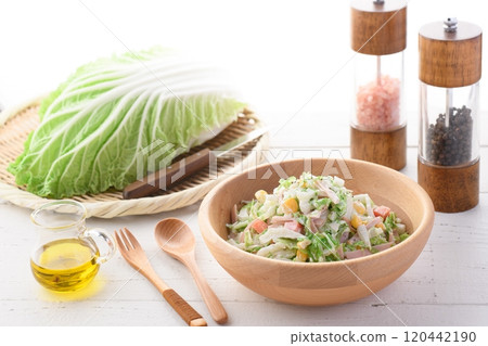 大白菜涼拌高麗菜沙拉(大白菜沙拉) 大白菜涼拌高麗菜沙拉(大白菜沙拉) 120442190